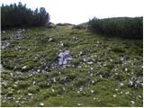 Planina Ravne - Kocbekov dom na Korošici